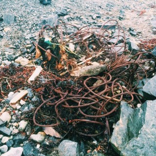Søppel funnet på strandryddedagen i fjor.