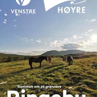 Partiprogram Venstre Høyre Ringebu 2019