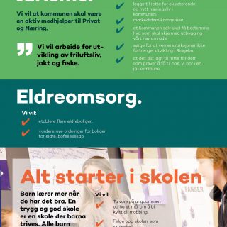 venstre partiprogram