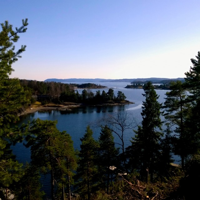 Brønnøya. Foto: Henning Klokkeråsen