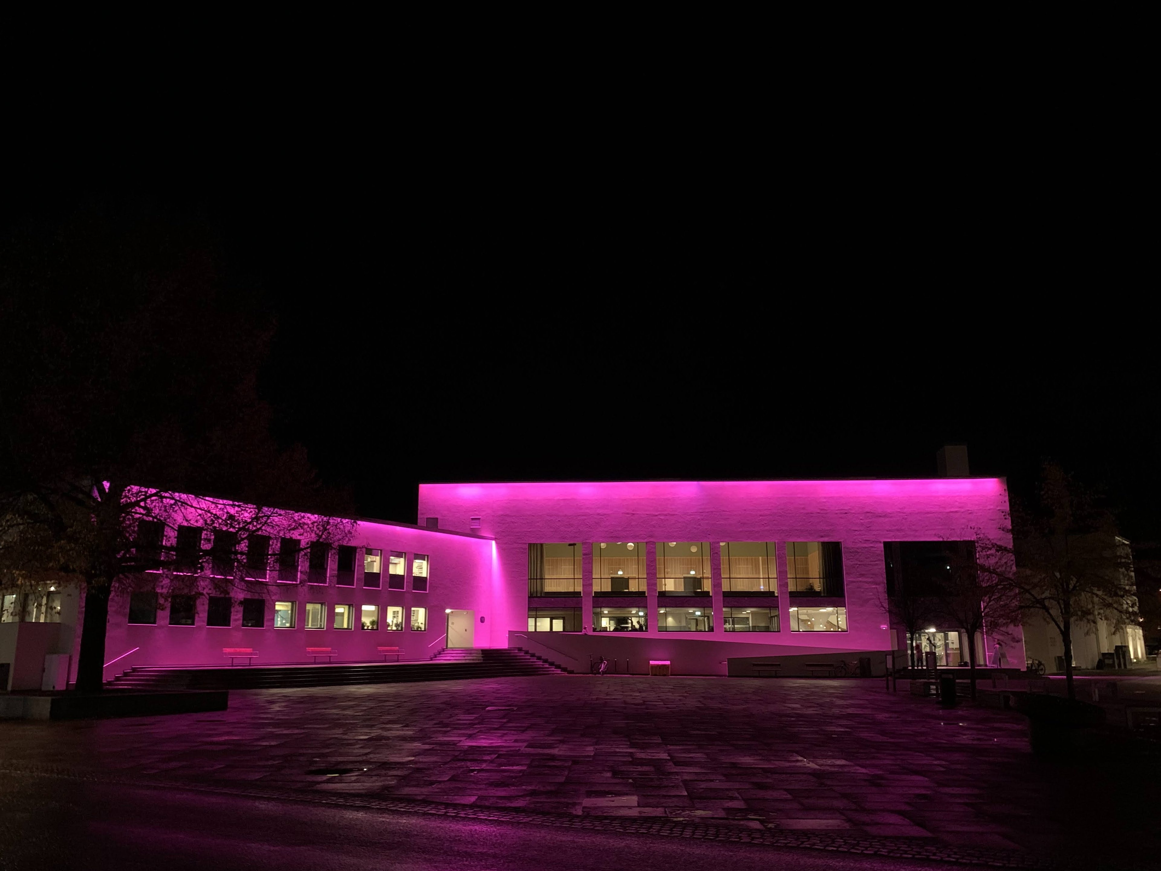 Steinkjer samfunnshus er rosa i september.