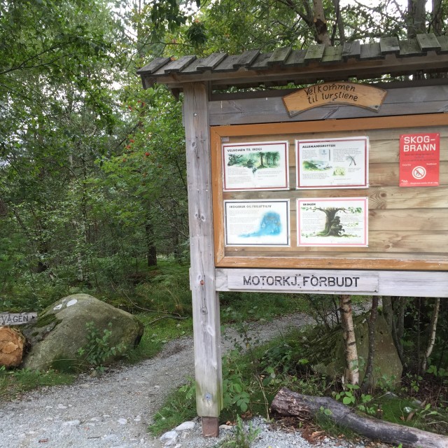 Tøgjevågen