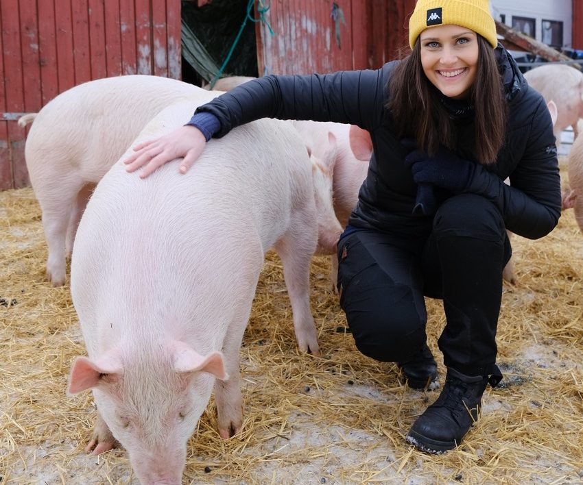 Ingvild Thorsvik klapper en gris