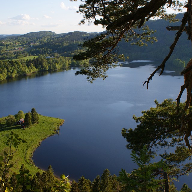 Semsvannet. Foto: Randi Hausen.