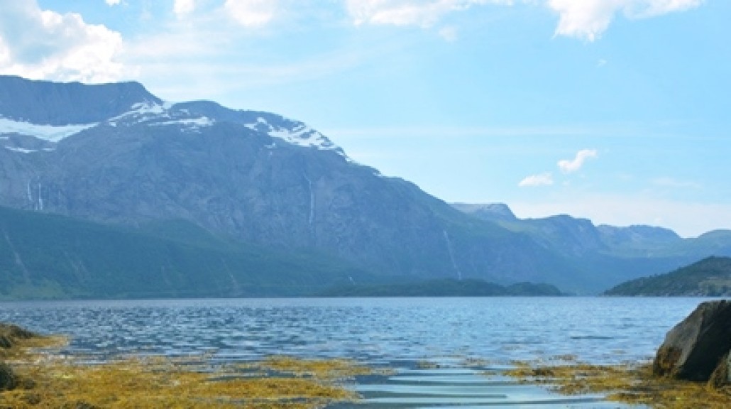 The Førde fjord