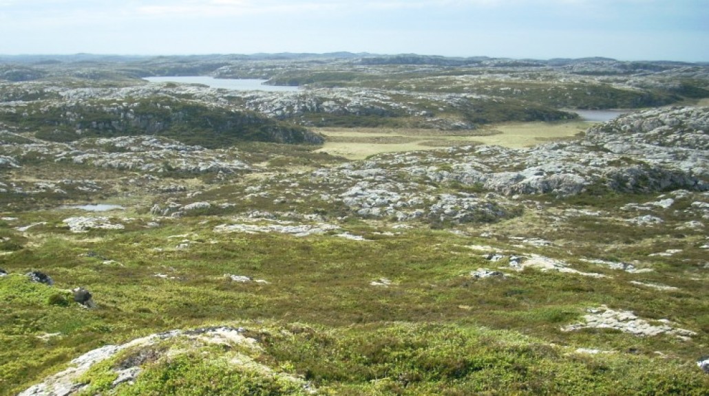 Kystlynghei og "høgfjellslandskap" på Frøya.
