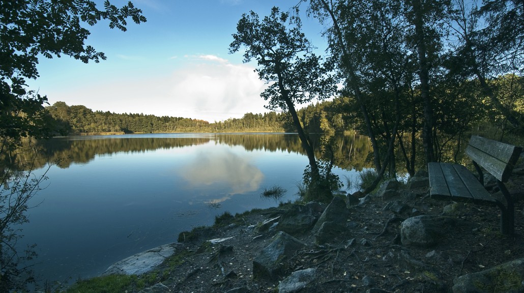 Hvem Bor Fa Vestfold Venstres Miljopris 2019 Vestfold Og Telemark Venstre