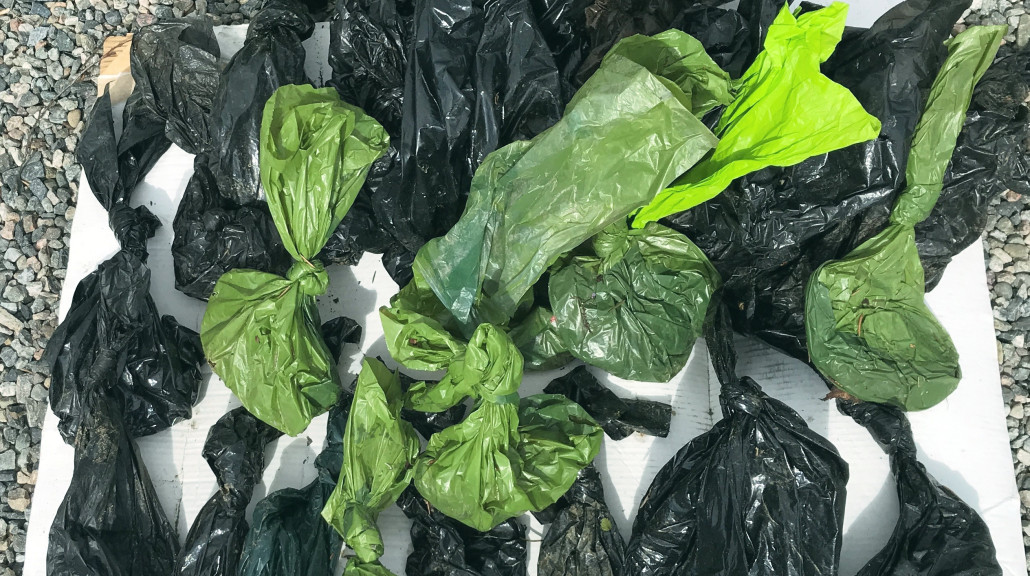 60 METERN I BIKKJEMØKK: Overvannsgrøftene på Skogmo brukes som deponi for plastinnpakket bikkjemøkk. Ikke greit, synes Ullensaker Venstre, som plukket opp 63 på et kort stykke.