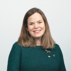 Venstres informasjonsteam<