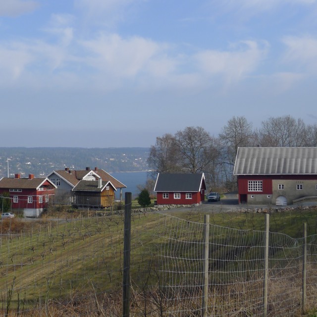 Eplegården på Storsand