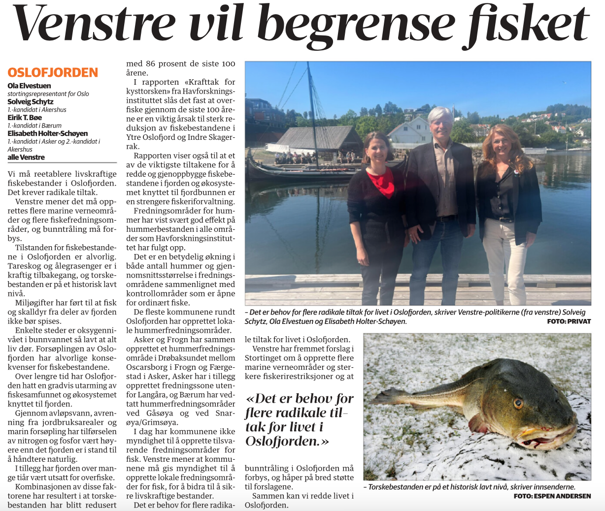 Faksimile fra Budstikka 22. juni 2023 Venstre vil begrense fisket i Oslofjorden