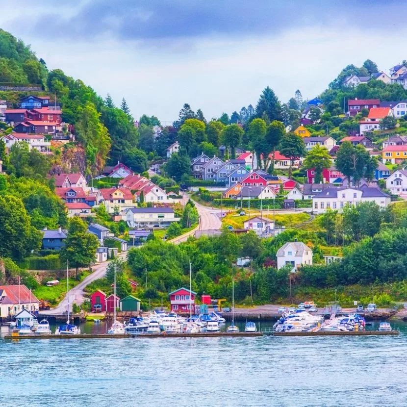 Bilde av tettsted ved fjorden. Hus i en grønn åskam.