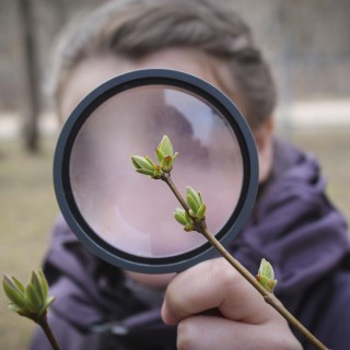 Venstre vil at skole og barnehagene skal ha tilgang på naturen. "Foto: Stock photo © serega_one