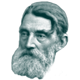 johan sverdrup
