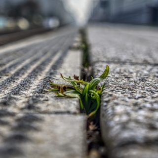 Helhetsplan Lørenskog stasjon