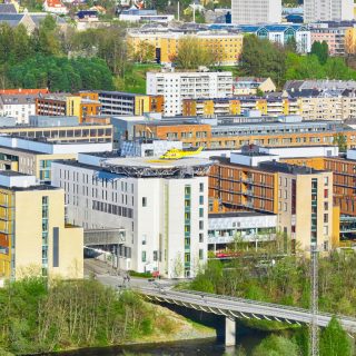 Sykehus og spesialist-helsetjeneste