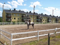 Rytter på Nordtvet gård