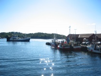  Vi ønsker flere båter av denne størrelse velkommen til Risør fiskemotak. 
