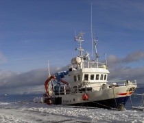 Fisk, båt, fiskeskøyte