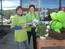Valget 2007
