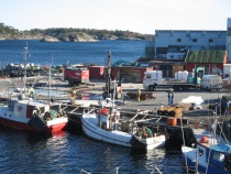  Fiskemottaket i Risør 17. mars 2009