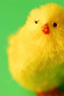 Påske