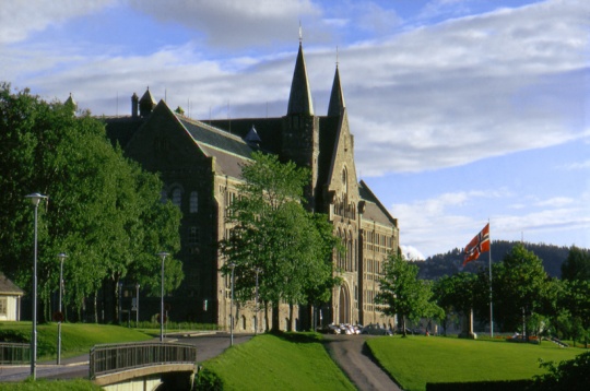 Universitet (NTNU)