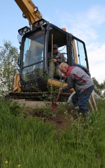 Treplanting3