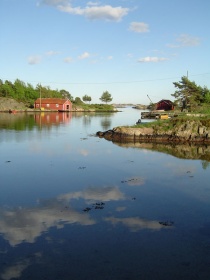 Ringerike Venstre miljø