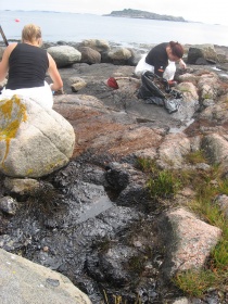 Opprydding oljesøl Grimstad