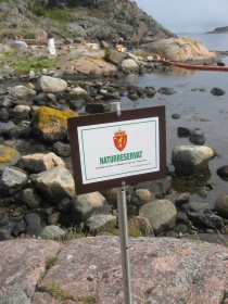 Oljelense i naturreservat i Grimstad