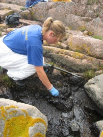 Oljesøl Grimstad Ruagerkilen naturreservat