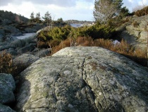 Skjærgårdslandskap
