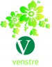 V-logo med dekor V-logo med dekor