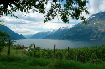 Lofthus, Ullensvang, fjord, Hardanger