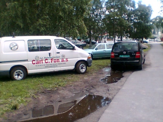 Parkering i parken 1