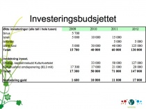 bodø venstres budsjettforslag 2009 -1