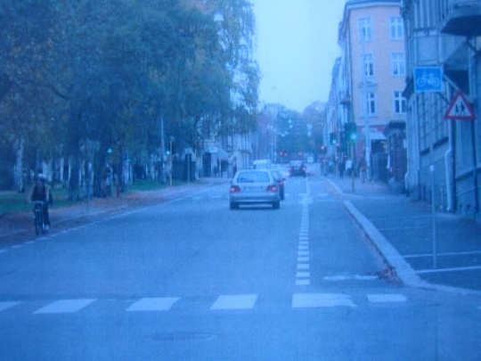 Sykkelfelt