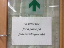 Plakat Føden