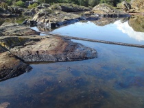 Oljekatastrofen ved Langesund Bad