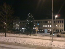 Julegrana på Kongens Plass