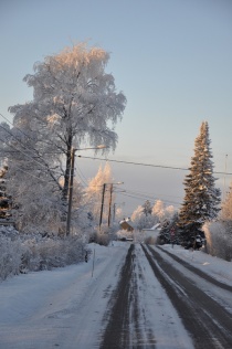 Vinter, vei