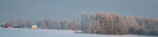 Miljø