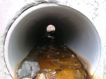 Paddetunnel