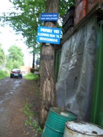 kyssti