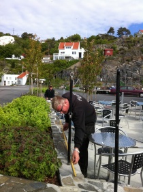  Jan Einar Henriksen (V) fremmet spørsmål om å lyssette Risørflekken.