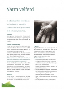 Bodø Venstre - program 2011, s5