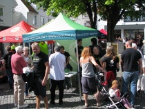 Valg 2011