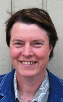 Sølvi