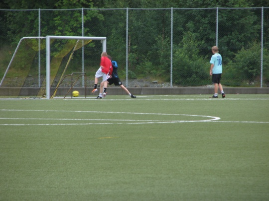 Scoring på Kuventræ